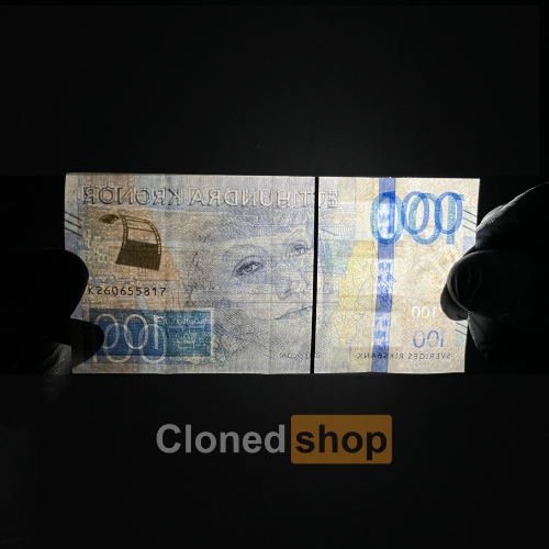 100 SEK back