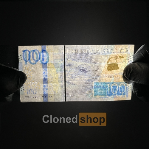 100 SEK front
